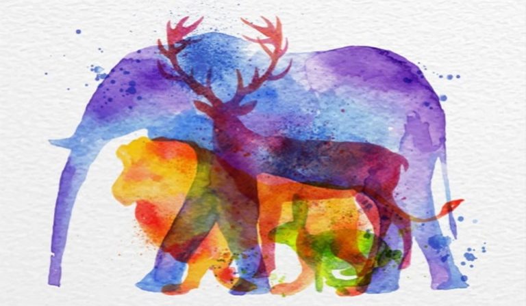 The Animal You Saw Will Tell You What Power is Hidden Inside You