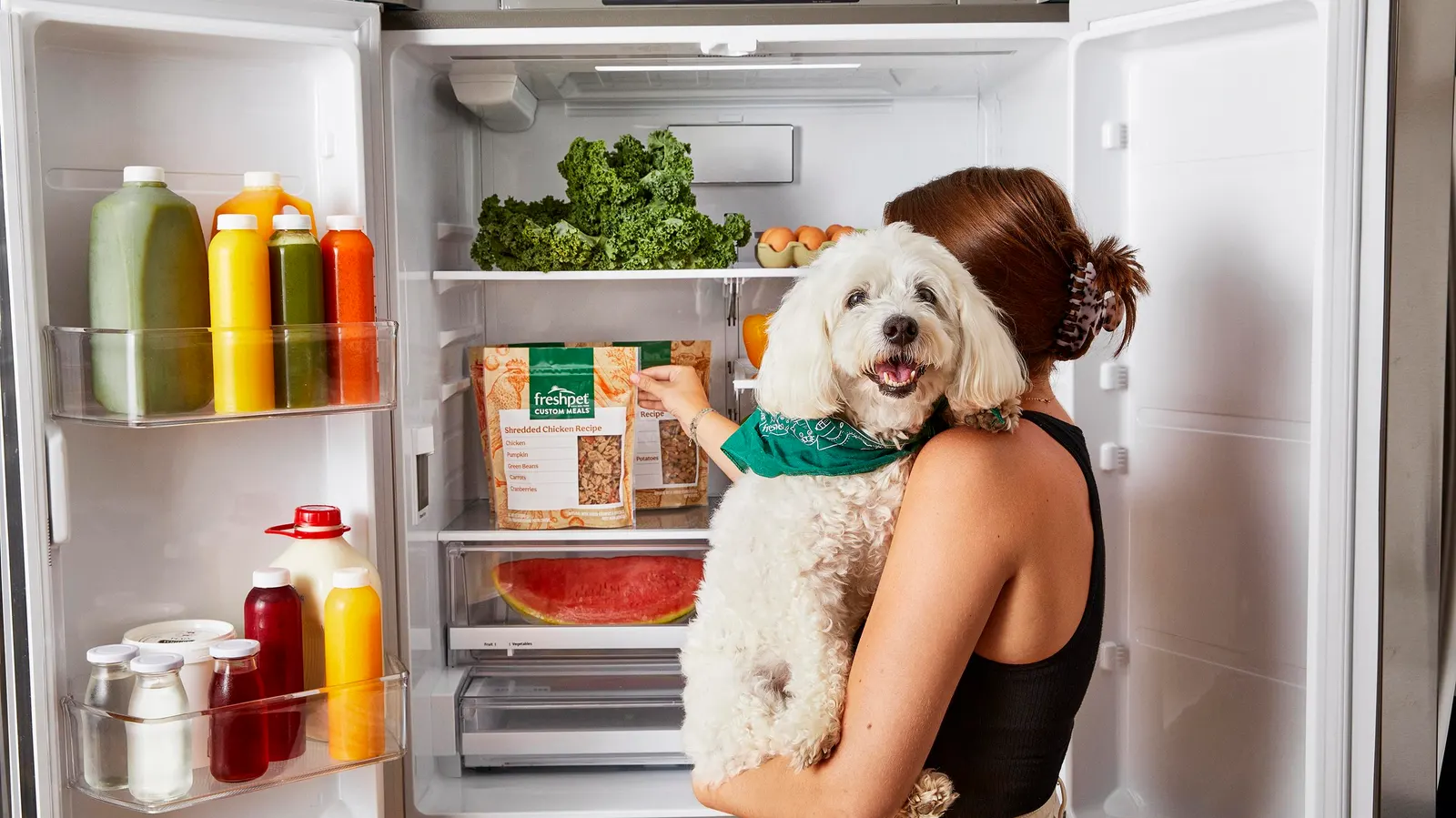 can-you-freeze-fresh-pet-dog-food