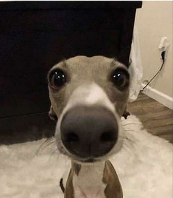 whats your secret turn on