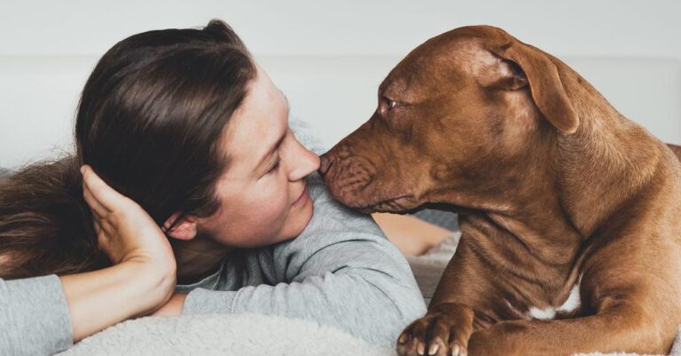 Dogs Nature's Stress Detectors - A Groundbreaking Study Reveals Their Incredible Ability