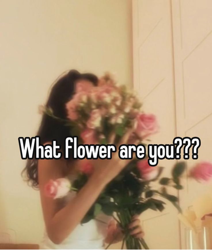 What type of flower are you