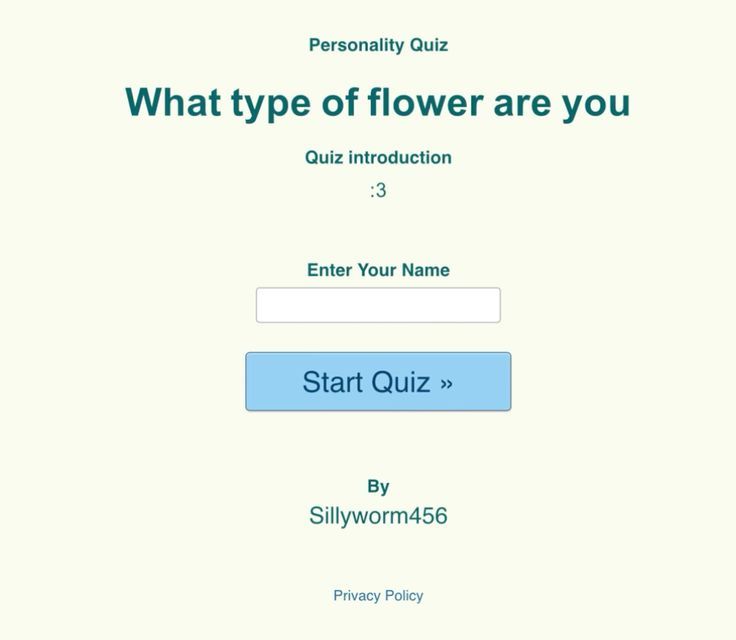 What type of flower are you