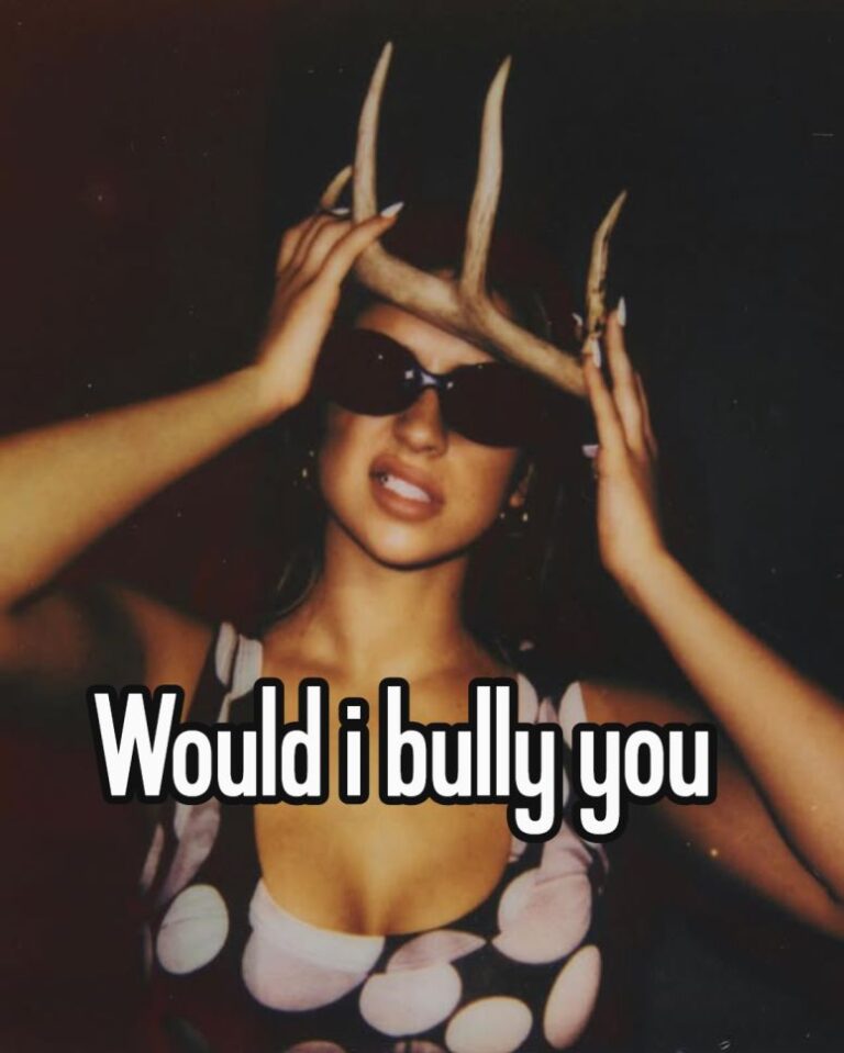 would i bully you