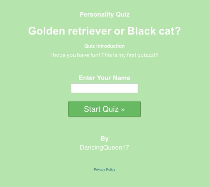 Golden retriever or Black cat?