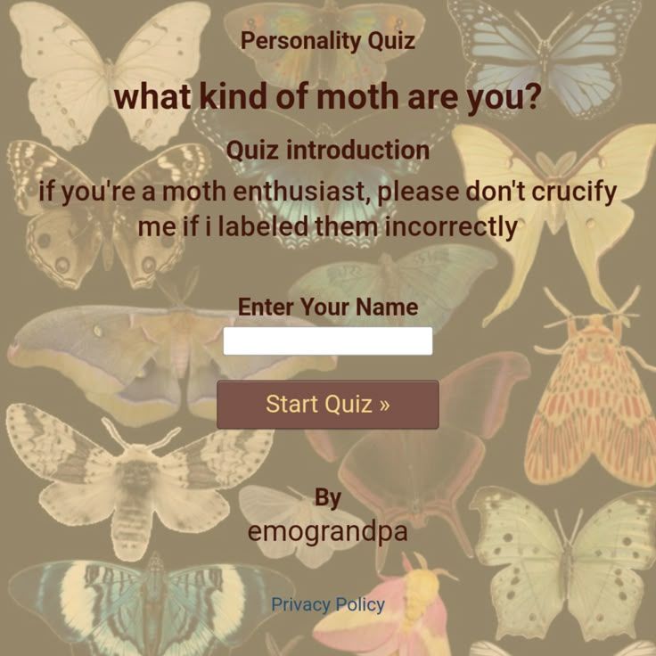 what kind of moth are you?