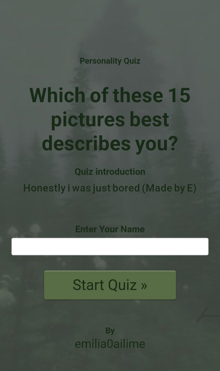 Which of these 15 pictures best describes you?