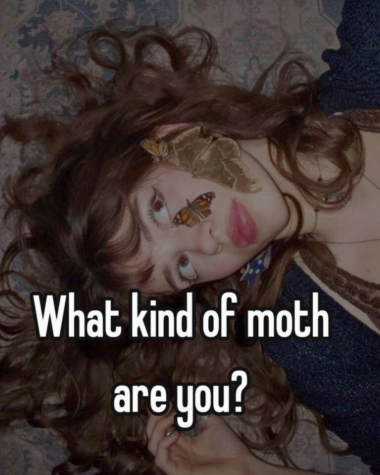 what kind of moth are you?