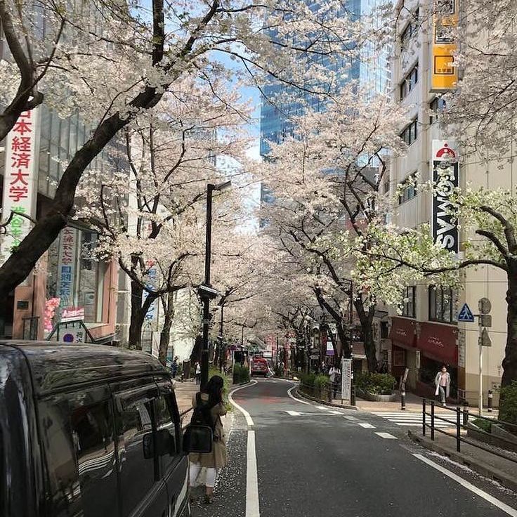 pick out some things and I’ll give you a flower + i’ll psychoanalyze you!!༊*·˚