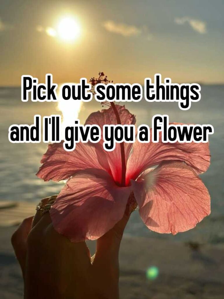 pick out some things and I’ll give you a flower + i’ll psychoanalyze you!!༊*·˚