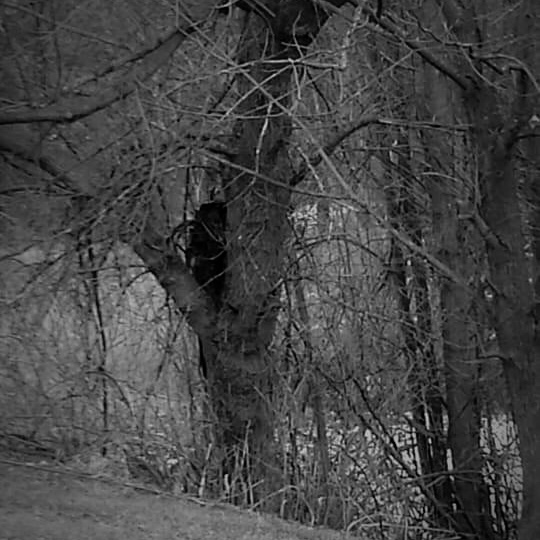 Are you a lesbian? (girls only sorry boys) I’ll try to guess if you’re a lesbian or straight