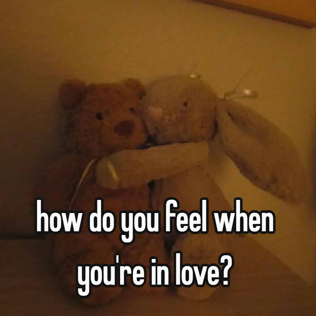 how do you feel when you're in love